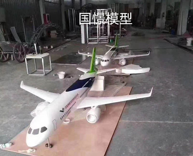 呼玛县飞机模型